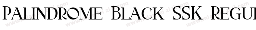 Palindrome Black SSK Regular字体转换